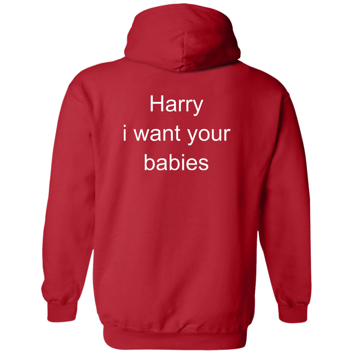 [Back]Harry I Want Your Babies Hoodie