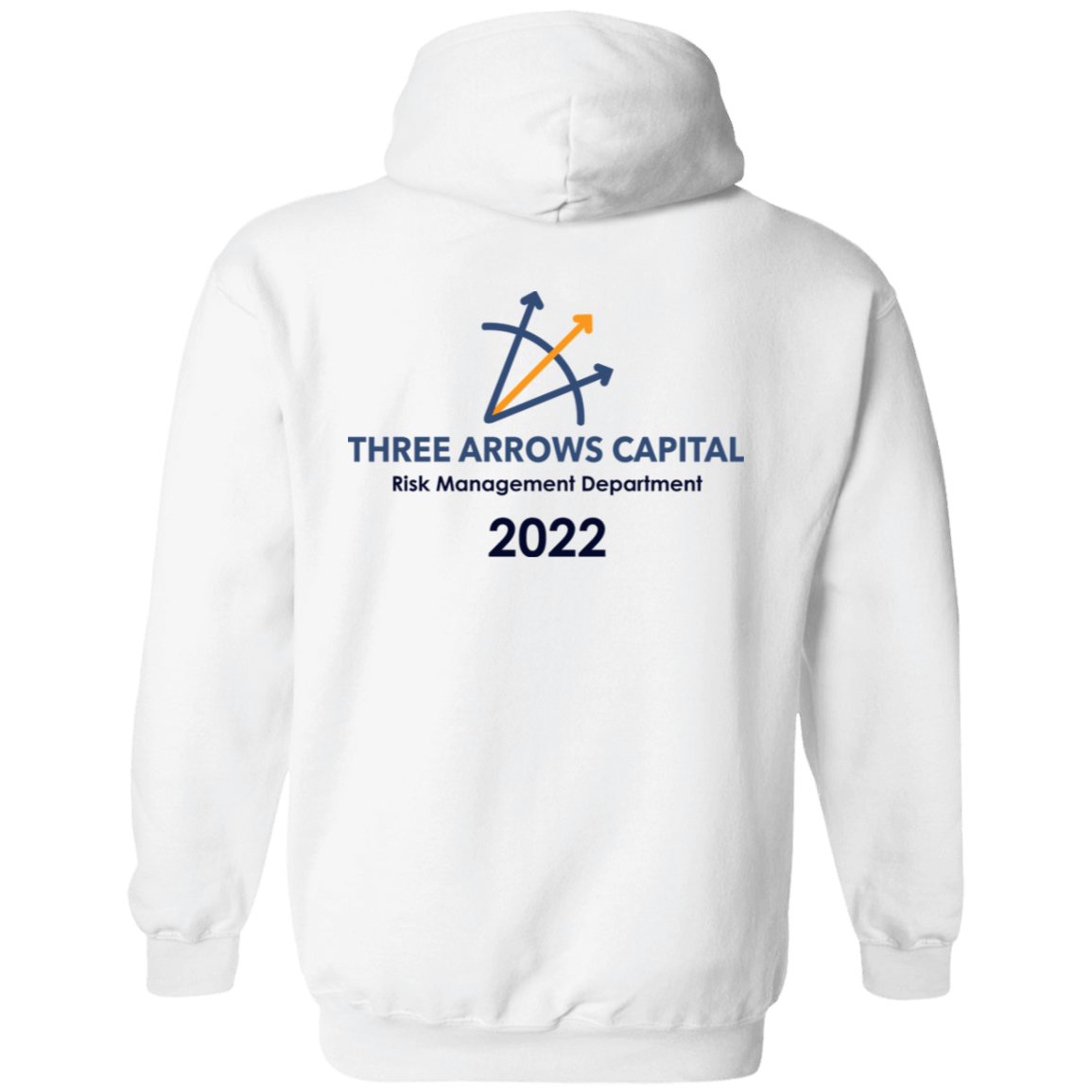 [Back]Three Arrows Capital Risk Management Department 2022 Hoodie