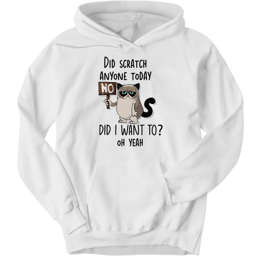 Did Scratch Anyone Today Did I Want To Oh Yeah Hoodie