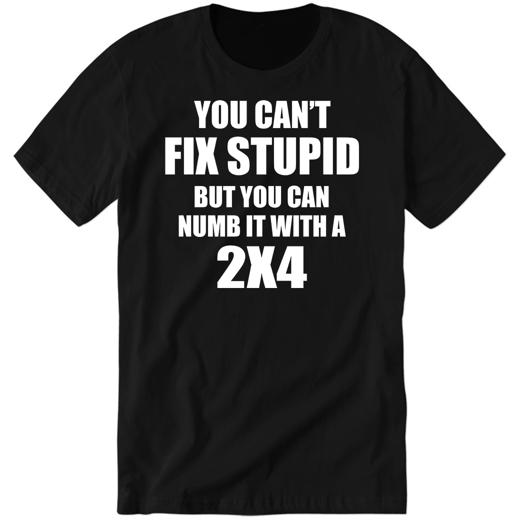You Can’t Fix Stupid But You Can Numb It With A 2×4 Premium SS T-Shirt