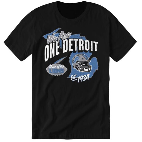 Official Detroit Lions We Are One Detroit 1934 Long Sleeve Shirt